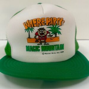 Vintage Six Flags 80s Snapback Trucker Hat Warner Bros Taz Magic Mountain